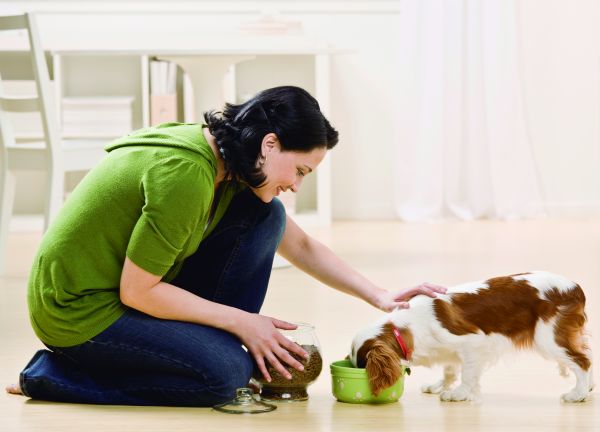 La responsabilidad de tener perro 