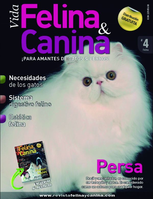 Â¿Porque rasguÃ±an los gatos?