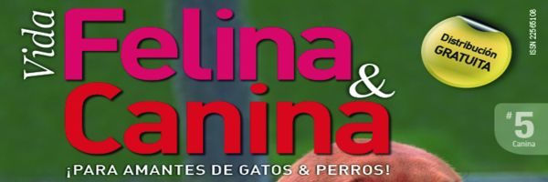 Legislar sin discriminar. 