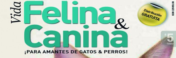 La discriminaciÃ³n a los gatos negros. 