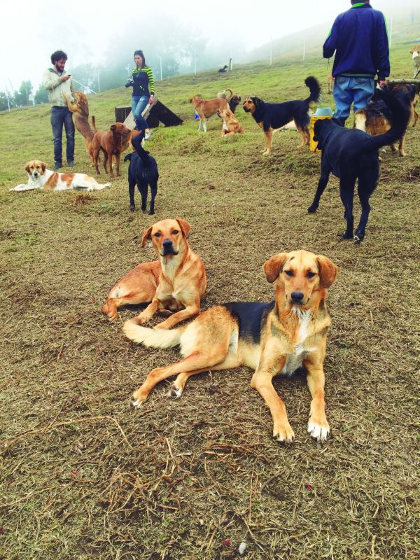 Peluditos con futuro 