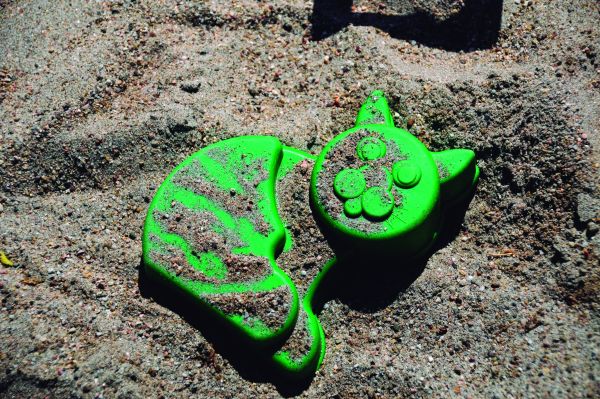 Tu gatito y la molesta diarrea