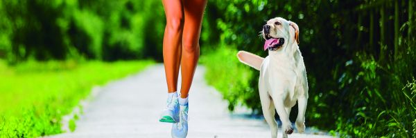 El ejercicio y su perro